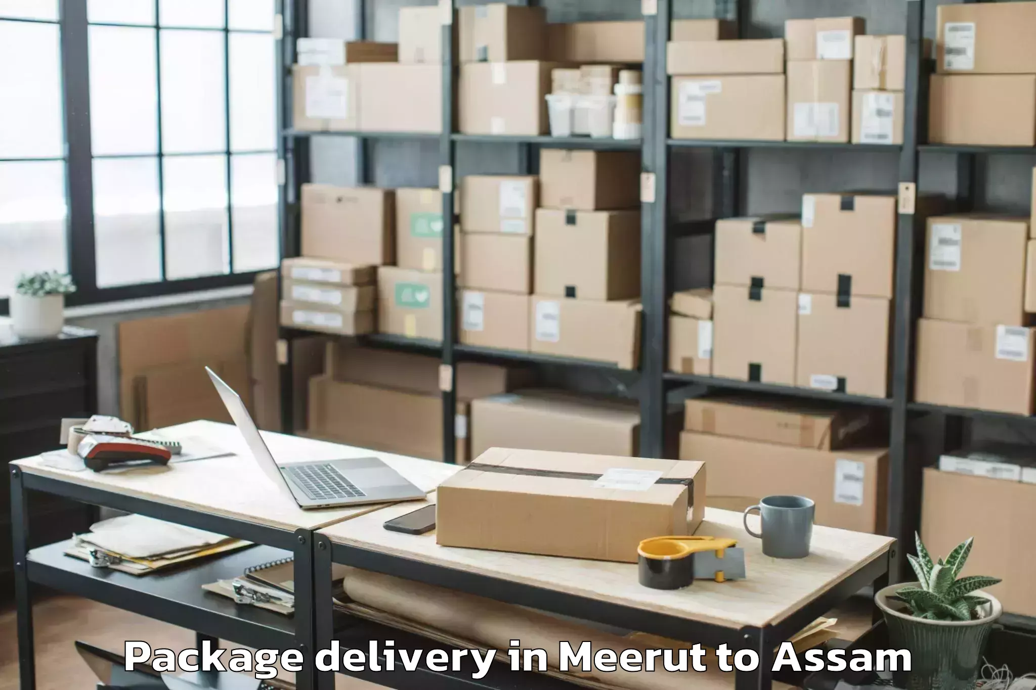 Hassle-Free Meerut to Digboi Package Delivery